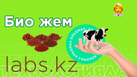 Био жем. «Labs.kz»