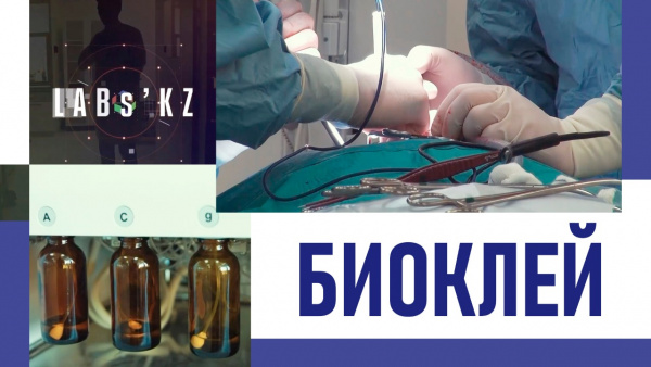 Биоклей. «Labs.kz»