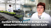 Қызыл кітапқа енген өсімдіктерді, биоалуантүрлілікті сақтап қалу. «Labs.kz»