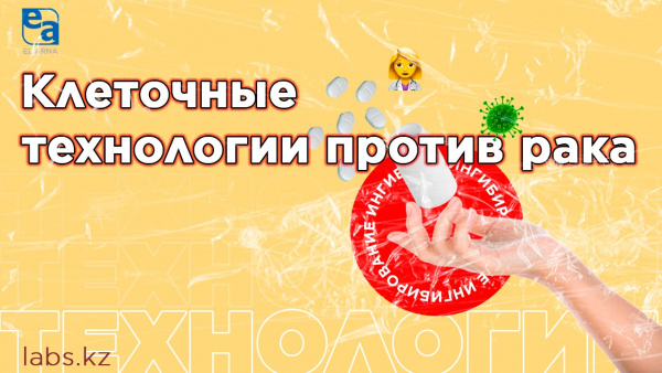 Клеточные технологии против рака. «Labs.kz»
