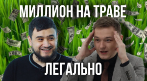 Миллионы на зелени? Раскрываем секреты бизнеса на витграссе! | «Миллион на стартапе»