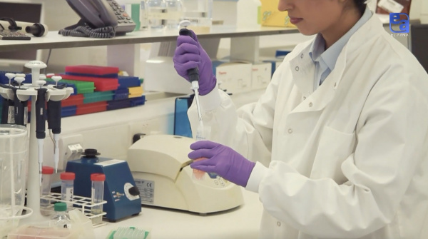 Сүйек өсіру. 3D-принтер. «Labs.kz»