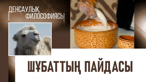 Шұбаттың пайдасы. «Денсаулық философиясы»