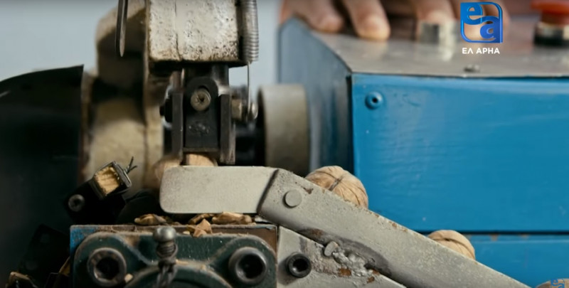 «Жаңғақ тал» кинокартинасы қалай түсірілді?