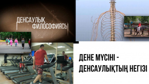 Дене мүсіні - денсаулықтың негізі. «Денсаулық философиясы»