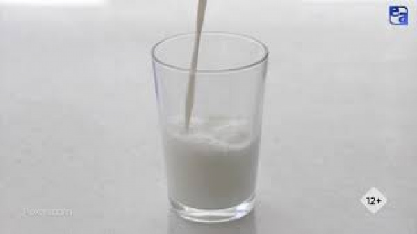 Бие сүтінен жасалған шоколад. «Labs.kz»