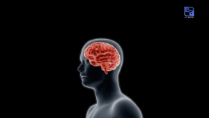 10000 сағат және жаңа машық. «Сандар сөйлейді»