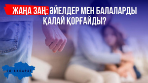 Алакөлге арзан билетпен | «Ел-Ақпарат»