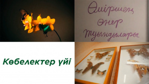 Көбелектер үйі. «Өміршең өнер туындылары»