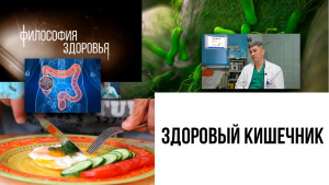 Здоровый кишечник. «Философия здоровья»