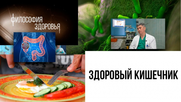 Здоровый кишечник. «Философия здоровья»
